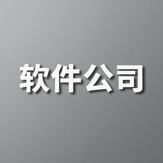 软件公司